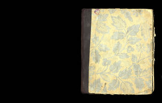 Sveitarbók Reykjarfjarðarhrepps 1875–1932